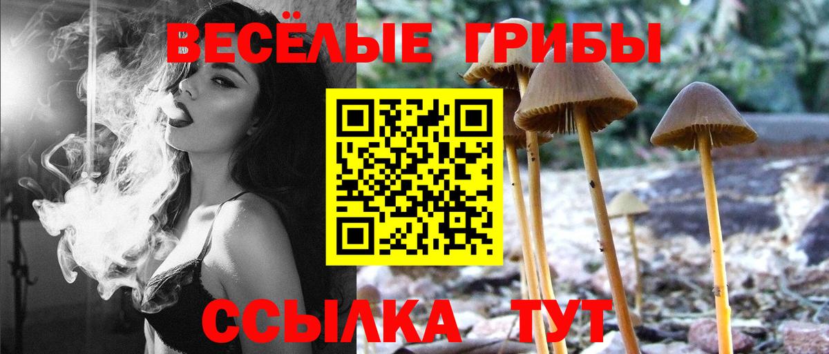 продажа наркотиков  Галлюциногенные грибы мухоморы  Вход с VPN  Нерюнгри 