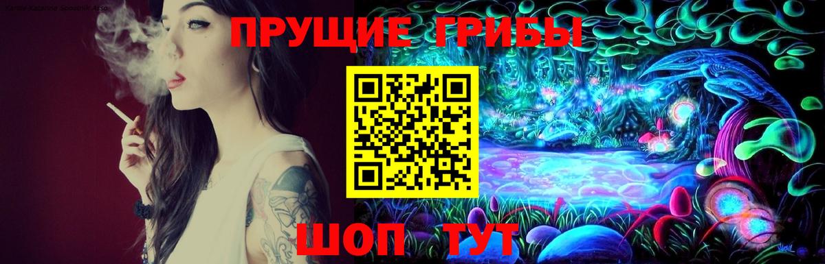 Галлюциногенные грибы Psilocybine cubensis Нерюнгри